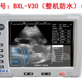 牛用B超儀