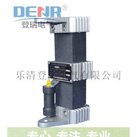 登瑞LXQ(D)II-10(6)帶放電管一次消諧器最新價(jià)格
