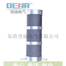 高品質(zhì)LXQIII-35消諧器 lxq3-35消諧電阻器廠家