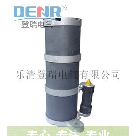 熱銷產(chǎn)品RXQ-20D一次消諧器,RXQ-35D消諧器作用