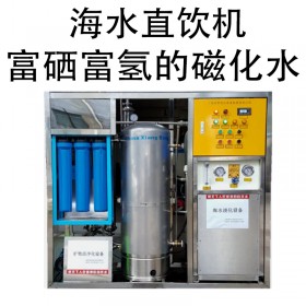 海水凈化直飲機(jī) 磁化水海水淡水設(shè)備純凈水礦物質(zhì)磁化水海水淡化