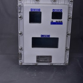 BXY防爆儀表箱釀酒電流表電壓表箱子