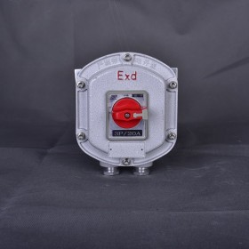 BZD51 防爆斷路器定制化工防腐斷路器