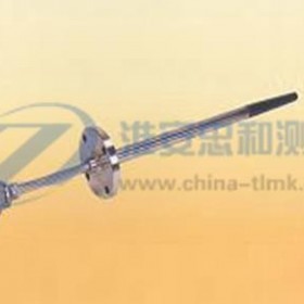 耐磨熱電阻