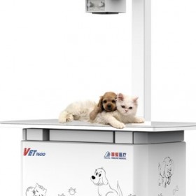 獸用X光機(jī) 狗狗拍x光檢查注意什么