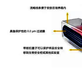 全新蜂巢式CO2培養(yǎng)箱