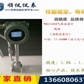 廣東壓縮空氣流量計 智能渦街流量計